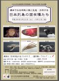 標本で見る神奈川県に生息・分布する日本列島の固有種たち
