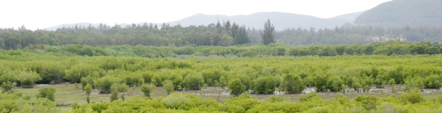 生物環境科学専攻