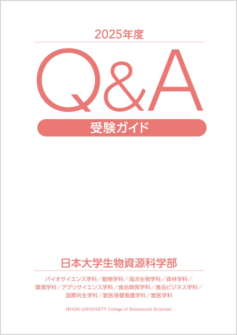 Q&A受験ガイド
