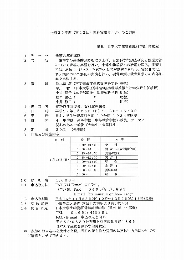 詳細画像