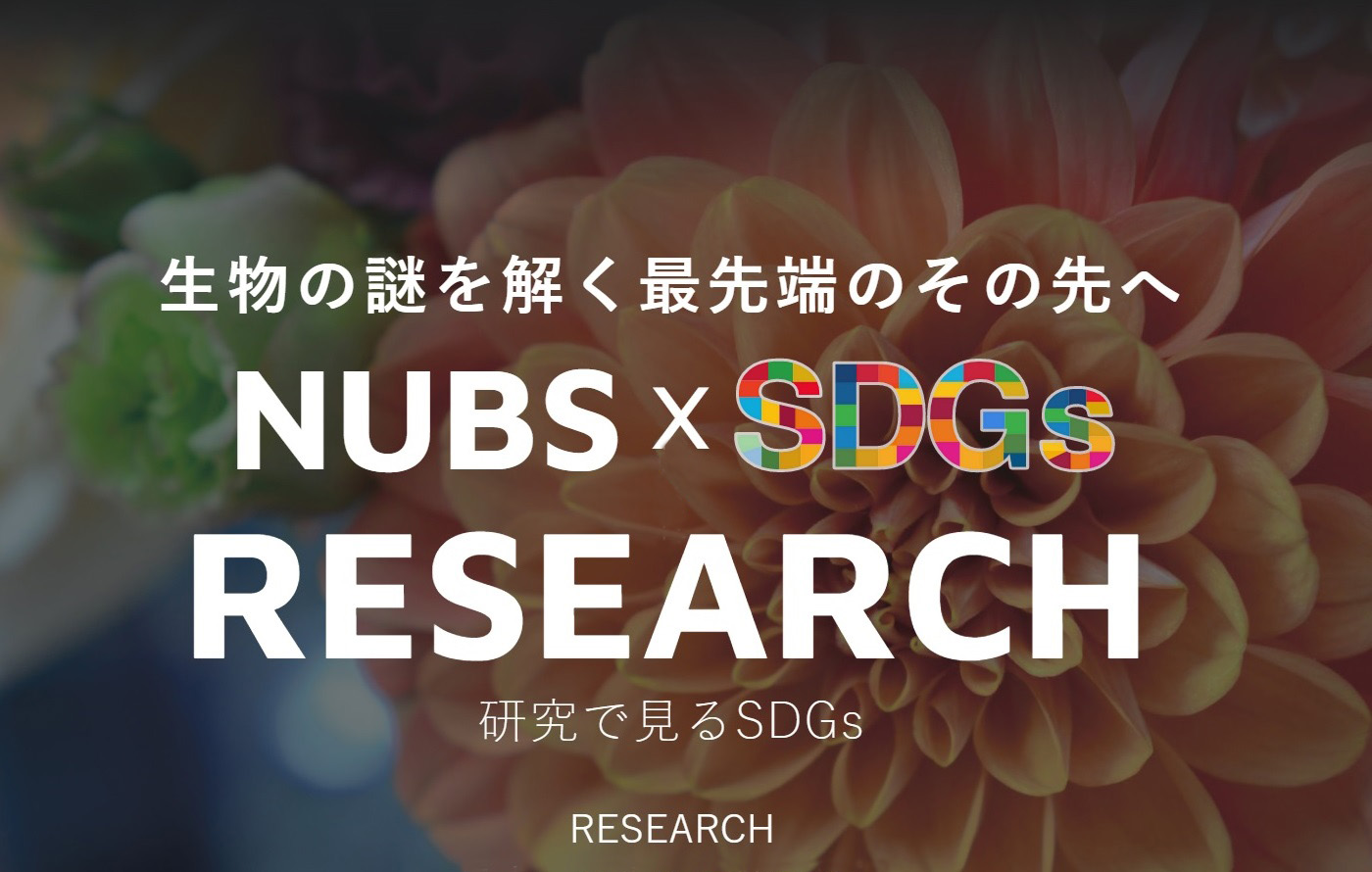 研究情報