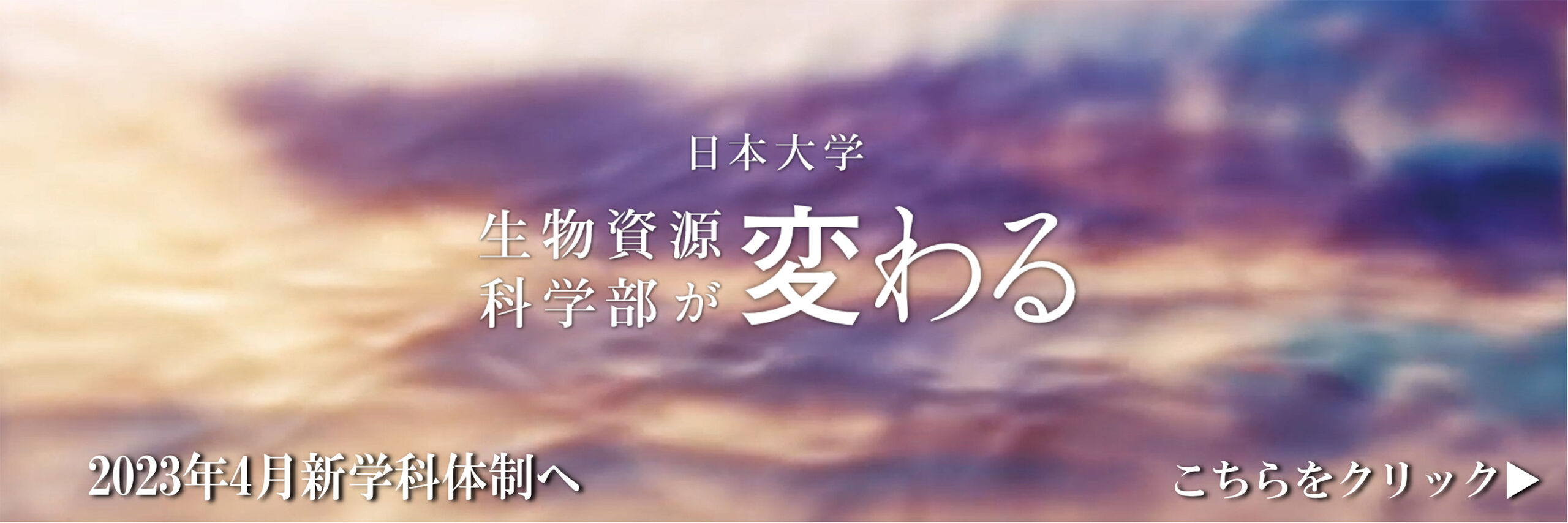 brspc03.jpg