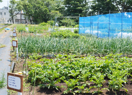 一坪農園(学内者)