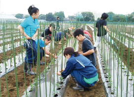 研究・調査・卒業研究のための