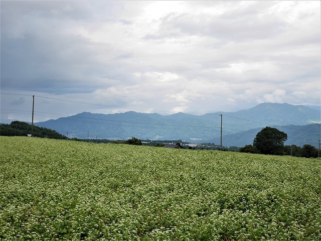 詳細画像